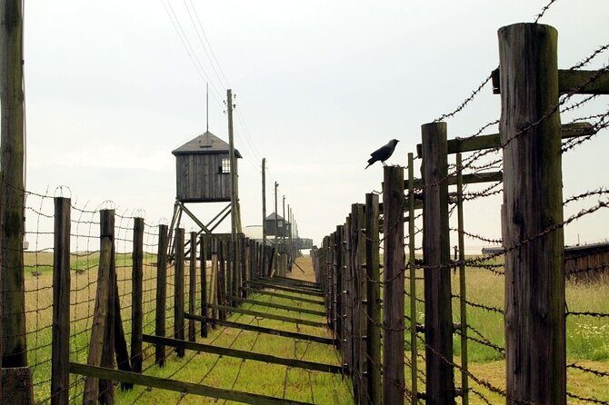 Lublin and Majdanek Small Group Tour from Warsaw with Lunch - The monument moment: reflection time that actually matters