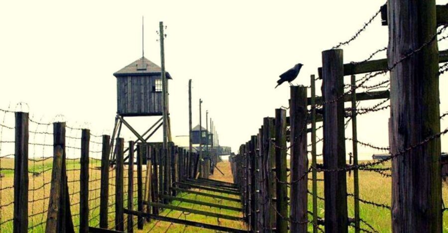 Lublin & Majdanek Small-Group Tour from Warsaw with Lunch - Marszałkowska 98-100 Pickup and the Road East