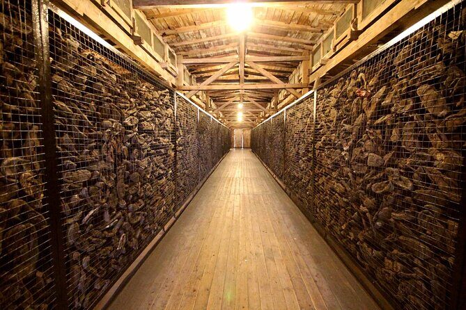 Majdanek Concentration Camp Tour from Warsaw with Hotel Pickup - Price and value: what $272.83 gets you for a full day