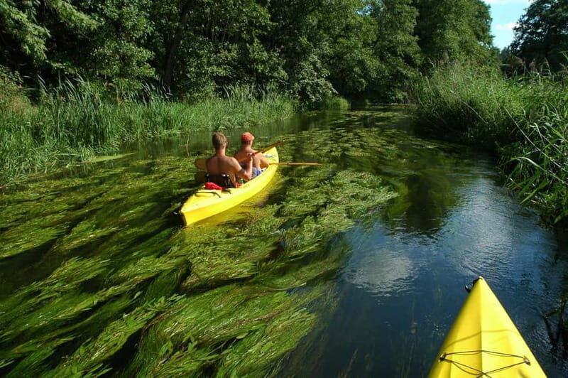 Masurian Lake District: Canoe and Sailing Tour from Warsaw - Canoeing the Krutyń River: calm water, rare bird spotting, and real effort