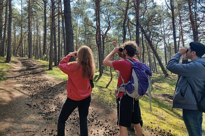 Nature Walk and Wildlife Tour in Sobieszewo Island - Key things to know before you go