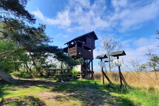 Nature Walk and Wildlife Tour in Sobieszewo Island - The reserve reset: Znak Ptasi Raj bench break