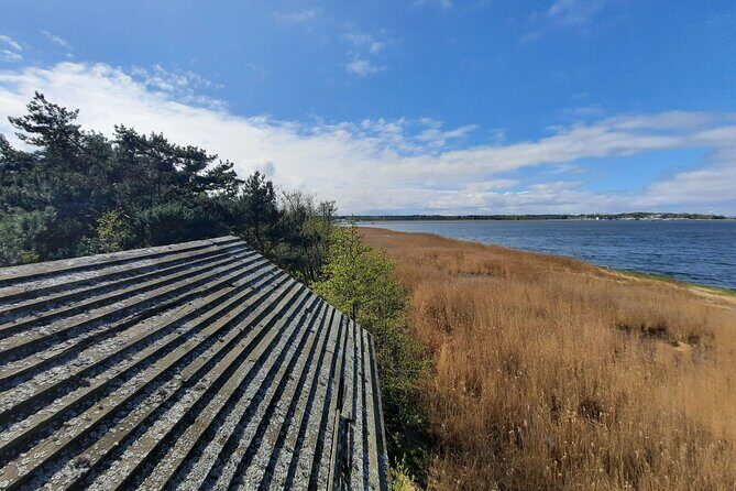 Nature Walk and Wildlife Tour in Sobieszewo Island - Plaża 19 (Gdańsk): beach bird watching and amber time