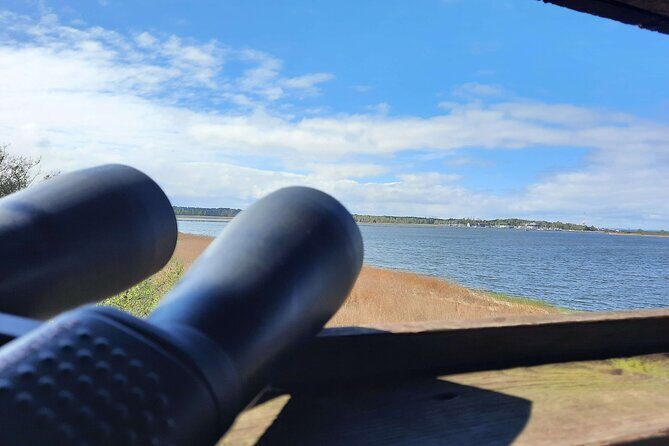 Nature Walk and Wildlife Tour in Sobieszewo Island - What’s included (and what you’ll need to bring)