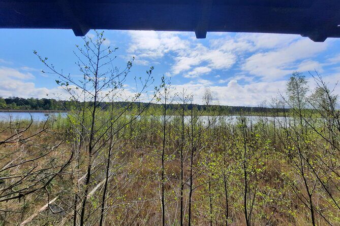 Nature Walk and Wildlife Tour in Sobieszewo Island - Price and value: $67.43 for a short guided wildlife session