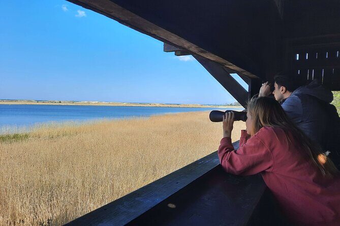 Nature Walk and Wildlife Tour in Sobieszewo Island - Stop 1: Wieża Obserwacyjna Imienia Baboli over Jezioro Karaś