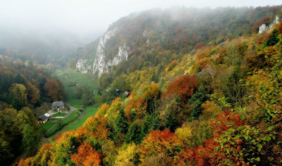Ojcow National Park: Full-Day Trip from Krakow - Should you book the Ojcow full-day trip from Krakow?
