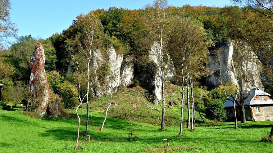 Ojcow National Park: Full-Day Trip from Krakow - Pieskowa Skala castle on the cliff: a well-preserved showstopper