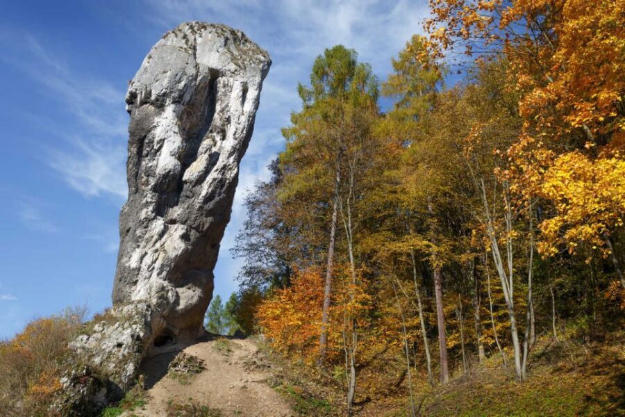 Ojcow National Park: Full-Day Trip from Krakow - Price and value: is $153 for seven hours worth it?