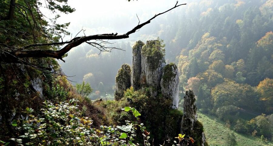 Ojcow National Park: Full-Day Trip from Krakow - What to bring (and what you’ll feel): comfort beats style