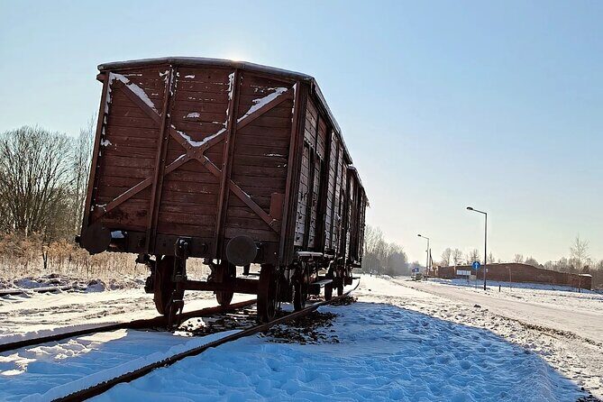 Private Guided Tour to Auschwitz & Birkenau from Krakow - Timing, walking, and sound: make the day work for your body and mind