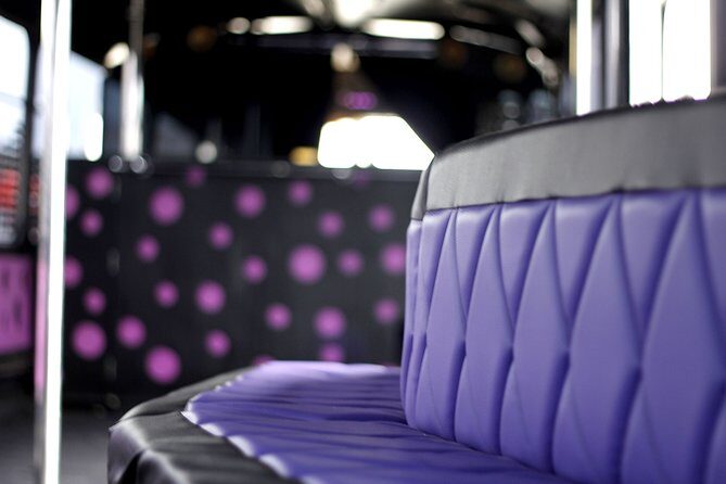 Private Party Bus & Nightclub Entry in Gdansk/Sopot - How the Private Party Bus Night Works in Gdańsk or Sopot