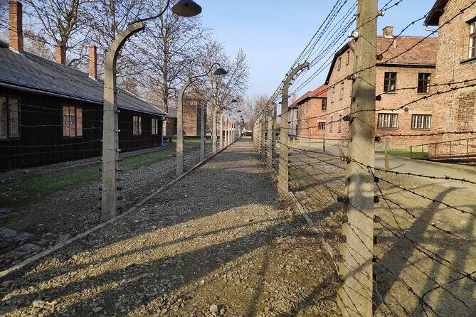 Private Tour to Auschwitz Birkenau & Salt Mine in One Day - Price and what you’re really buying at $192.66