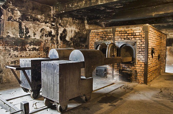 Private Tour to Auschwitz Birkenau & Salt Mine in One Day - Should you book this tour?