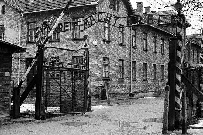 Private Van Auschwitz Birkenau Tour - Price and value: does $240.82 feel fair?