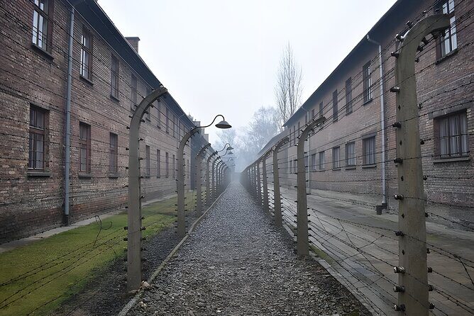 Private Van Auschwitz Birkenau Tour - Comfort and communication: driver quality can change the whole day