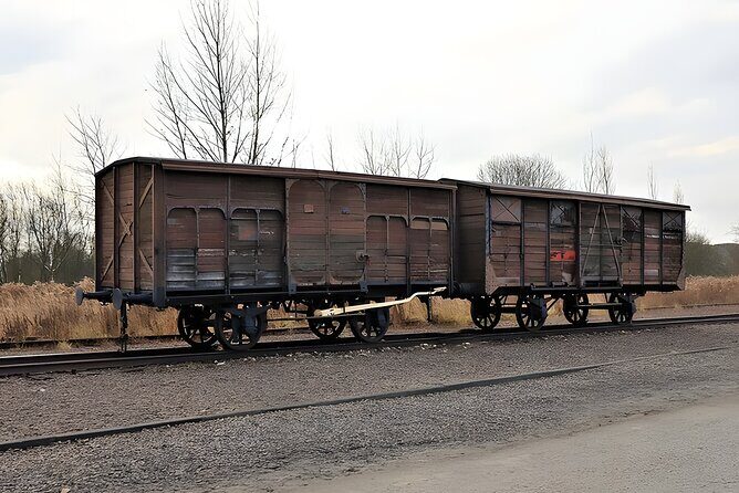 Private Van Auschwitz Birkenau Tour - What to do with your day: practical tips for your visit