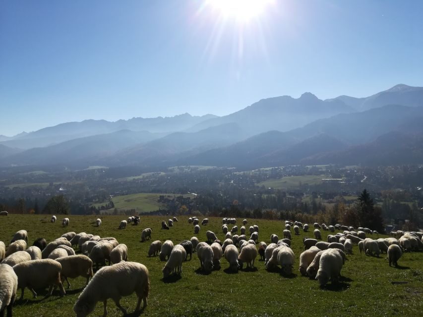 Rafting on Dunajec & Zakopane Tour – Day Trip from Krakow - A Smooth, Mountain-Packed Day From Krakow