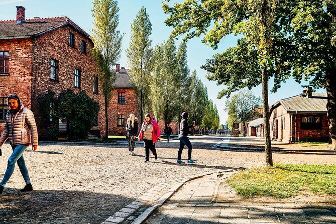 Self-Guided Tour of Auschwitz-Birkenau Museum with Transportation - The documentary movie: a quick way to set context before the walking starts