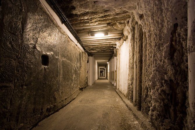 SKIP THE LINE: Private Wieliczka Salt Mine guided tour from Kraków - Who this private tour suits best