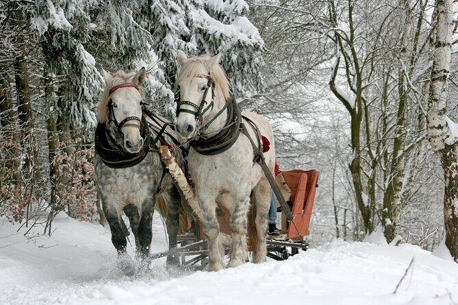 Sleigh Ride & Bonfire in Zakopane with Funicular - Private Trip - A Snowy Day Trip From Krakow: Chochołów, Zakopane, and Gubałówka