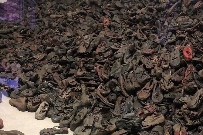 Small Group VIP Auschwitz Tour with Transportation - Price and whether it’s worth paying $170.45
