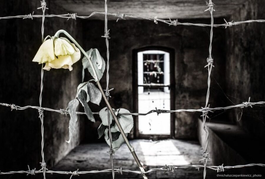 Stutthof Concentration Camp Half-Day Private Tour - Private Transport and the Comfort Factor That Actually Matters