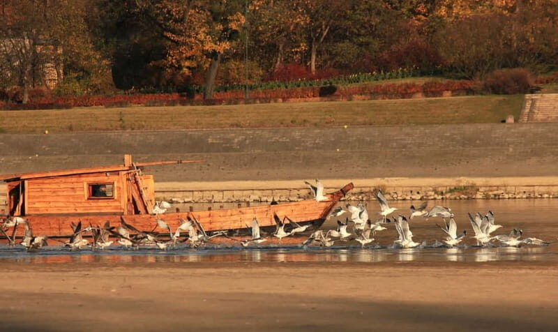Toruń: Sightseeing Cruises on the Vistula River - The 50-Minute Route: What You’ll Actually See