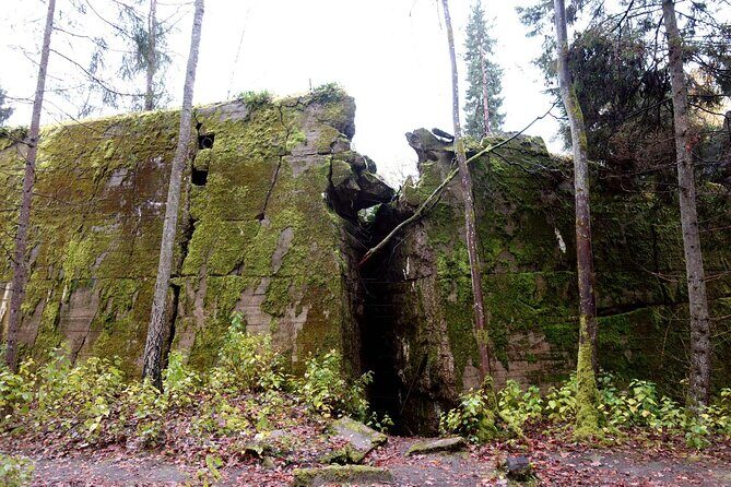 Tour from Warsaw: Wolf's Lair, Hitler's HQ Zones I and II - Key moments worth the time