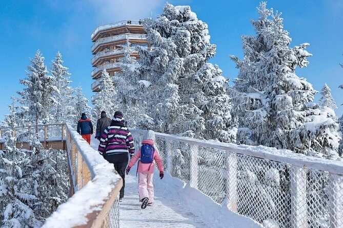 Treetop Walk in Slovakia and Thermal Baths from Krakow - Crossing into Slovakia: the 8:00 start and 2-hour drives