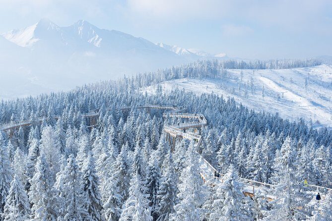 Treetop Walk in Slovakia and Thermal Baths from Krakow - Driver-led experience: English-speaking service and named examples