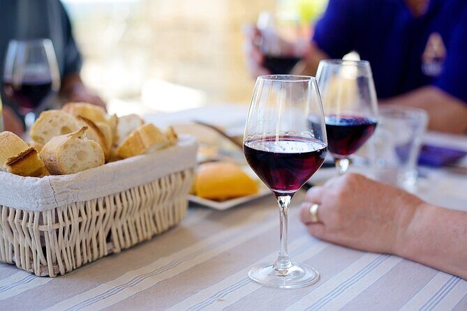 Visit to a local Vineyard - Key highlights worth getting excited about