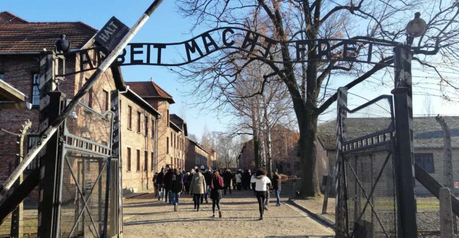 Warsaw: Auschwitz-Birkenau and Krakow Tour by Car - Who this tour fits best (and who should look elsewhere)
