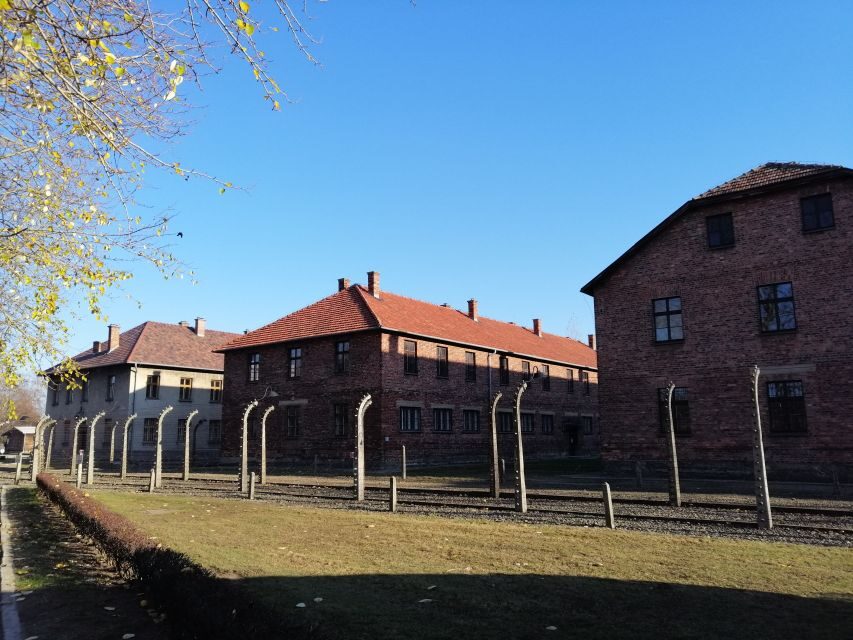 Warsaw: Auschwitz-Birkenau and Krakow Tour by Car - Pace, comfort, and what to expect from the long day