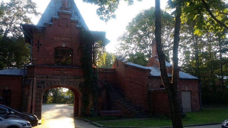 Warsaw: Bialowieza National Park and European Bison Tour - Best Season and Timing Thoughts