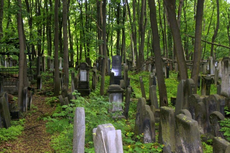 Warsaw Jewish Heritage Private Tour in Retro Fiat - Muranów’s Large Ghetto and the Jewish Cemetery walk