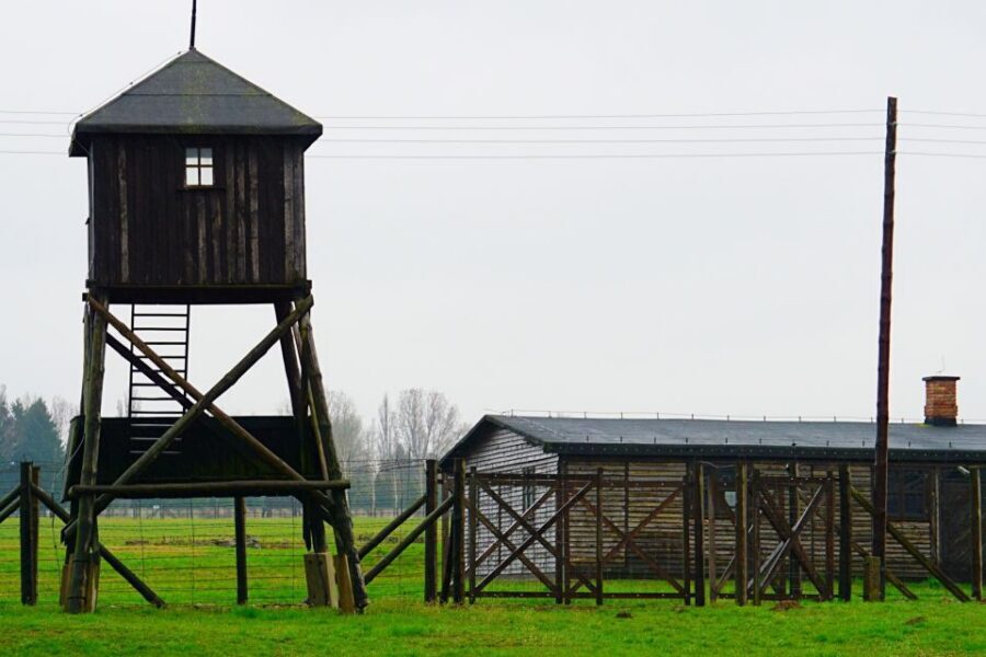 Warsaw: Majdanek Concentration Camp & Lublin Guided Day Tour - Getting There Comfortably From Warsaw on a Luxury Mercedes Van
