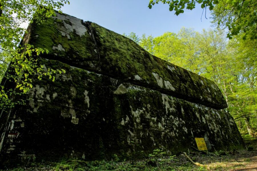 Warsaw: Private Full-Day Wolf's Lair Tour - Wolf’s Lair in Masuria: Why This Bunker City Still Hits Hard
