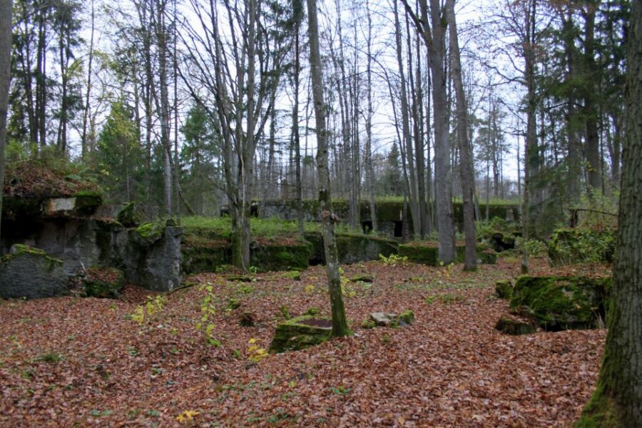 Warsaw: Private Full-Day Wolf's Lair Tour - Moderate Walking, Wheelchair Access, and What to Pack