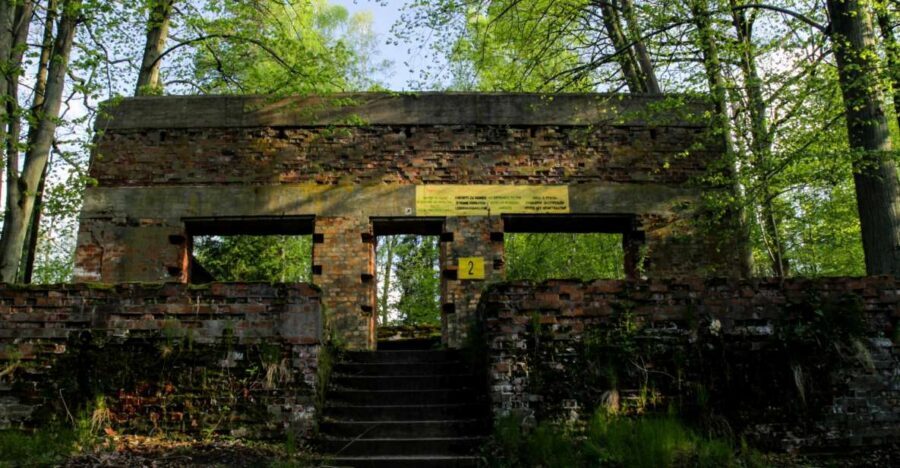 Warsaw: Private Full-Day Wolf's Lair Tour - Price and Value: What You’re Really Paying For at $382
