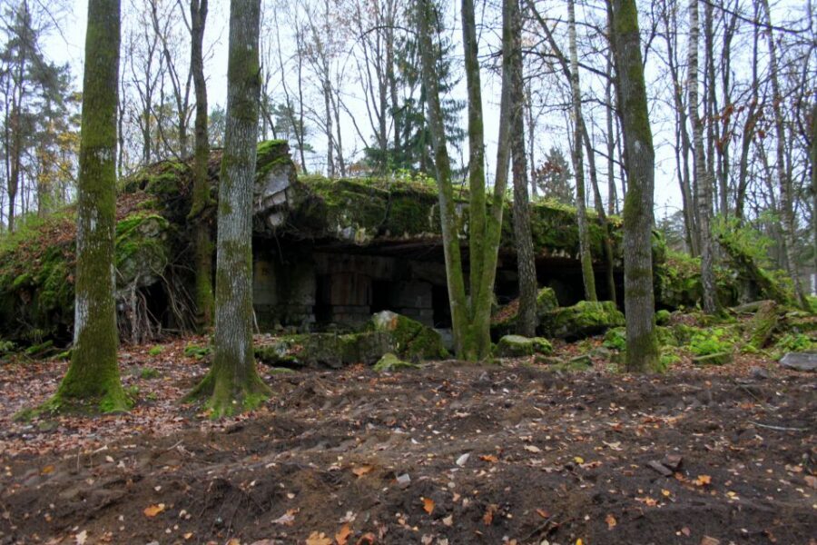 Warsaw: Private Full-Day Wolf's Lair Tour - The Long Warsaw Ride: Luxury Transport Without the Stress
