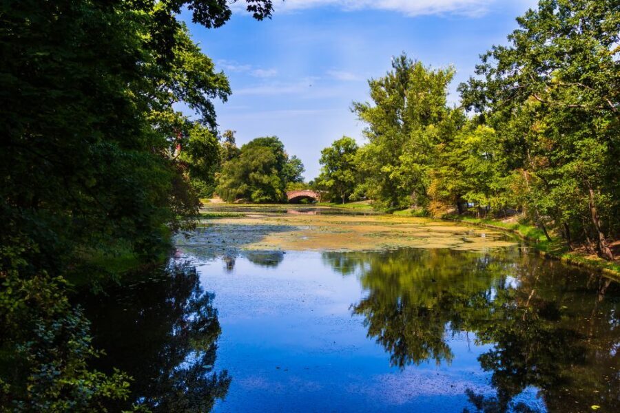 Warsaw Private Wilanow Palace & Garden Tour - Private guiding: why this small-group setup matters