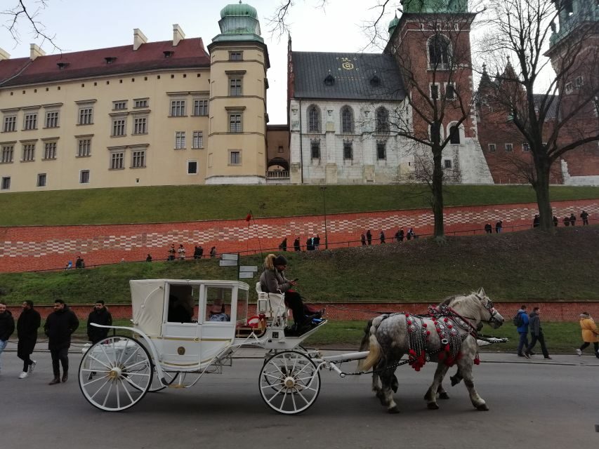 Warsaw: Tour to Krakow and Auschwitz by Train with Pickup - Birkenau: Why Auschwitz II Feels Bigger and Harder
