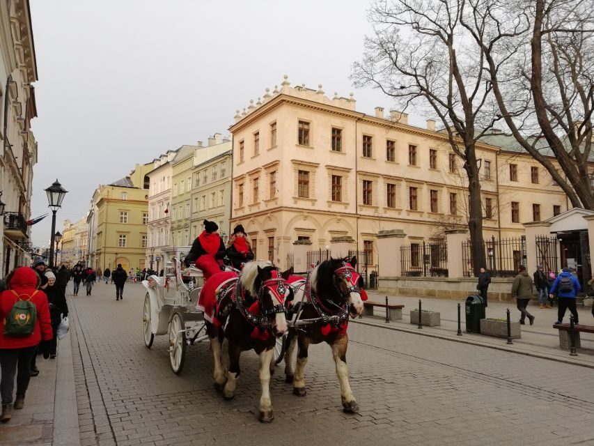Warsaw: Tour to Krakow and Auschwitz by Train with Pickup - Train Back to Warsaw: Smooth When It’s On Time