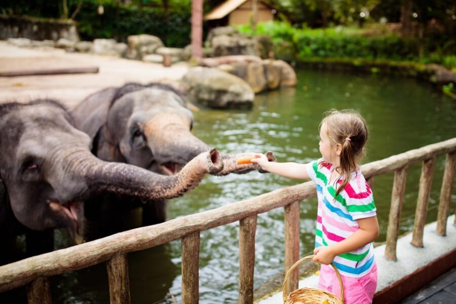 Warsaw Zoo Skip-the-Line Entry Ticket with Private Transport - Key Highlights You’ll Feel Immediately