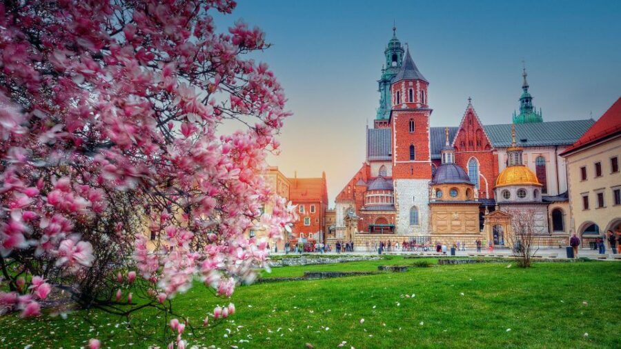 Wawel Hill Tour with Audio Guide - Your audio guide setup: what the included device means for you