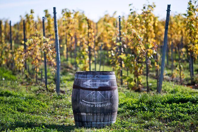 Wieliczka Vineyard: Wine tasting with local snacks - Entering Winnica Wieliczka: small property energy, big flavor focus