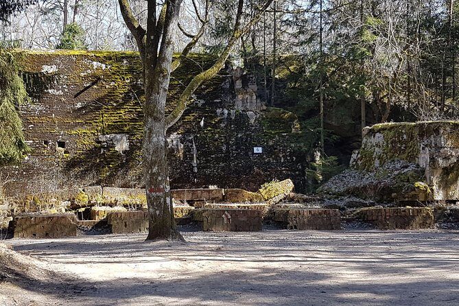 Wolf's Lair & Treblinka Tour in 1 day from Warsaw - The Guides: What You Gain From Anna, Wojtek, and Jadwiga
