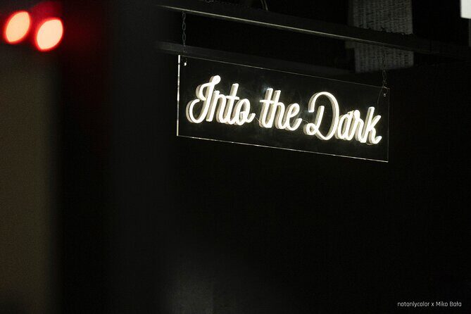 WOMAI Cracow - Into the darkness experience - Your blind guide, plus Q&A and braille at the end