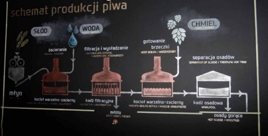 Wroclaw: Guided Tour & Beer Tasting (2 hours) - Jatki and the Naked Swordsman Fountain: Student Life, Local Lore, and People-Watching